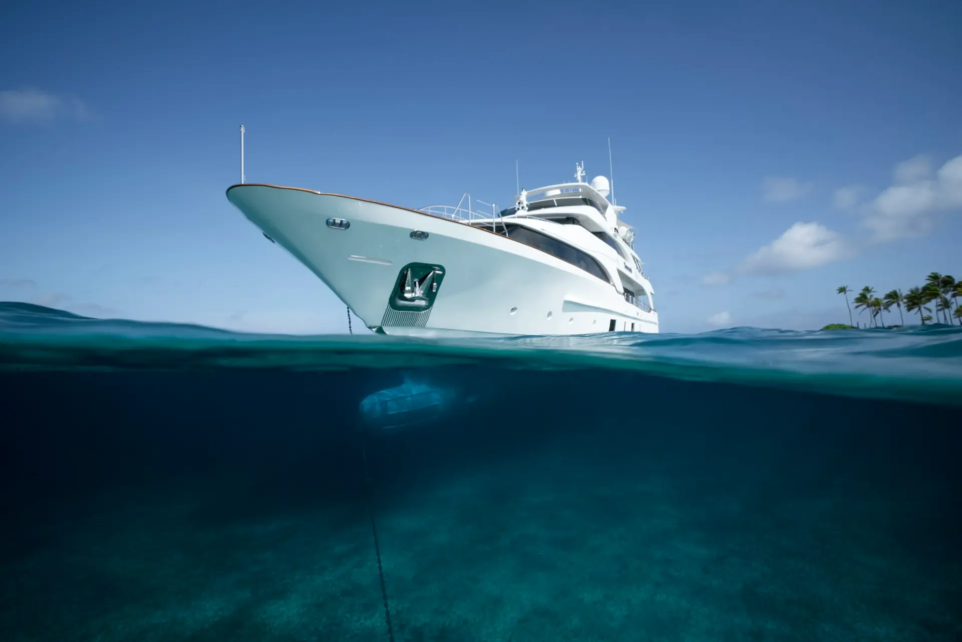 a cruise ship in the ocean with a rope in the foreground